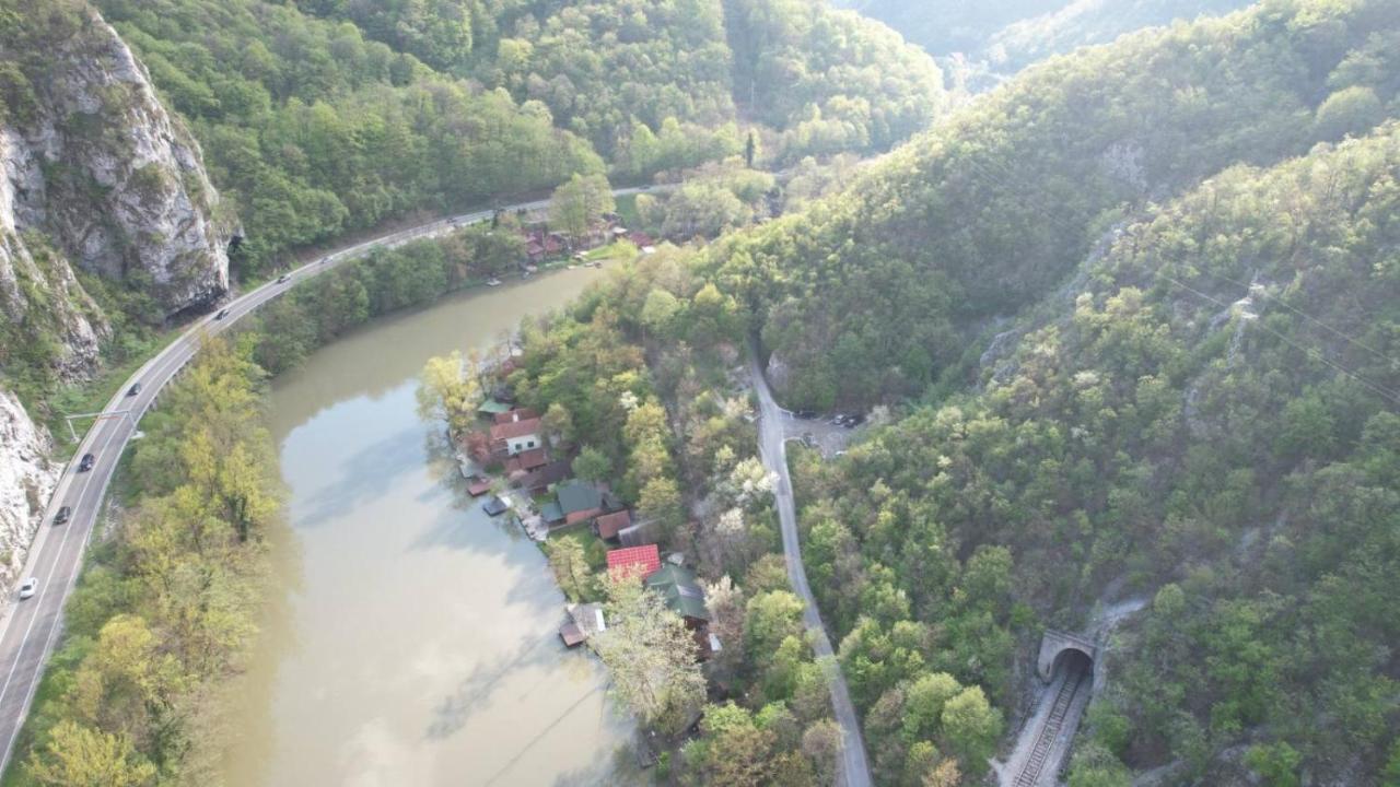 Brvnara Morava * Ovcar Banja